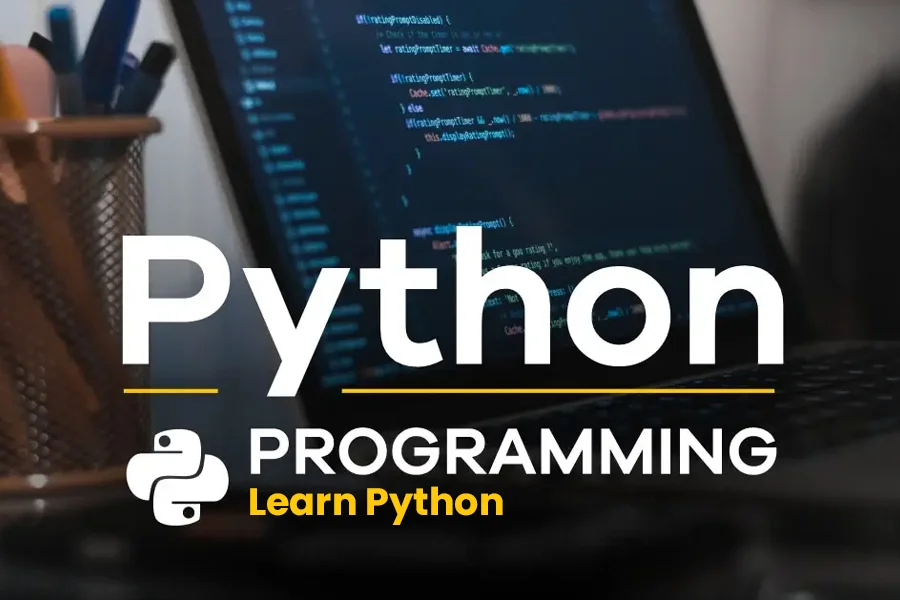 Python Development Bootcamp: From Basics to Django Web Apps